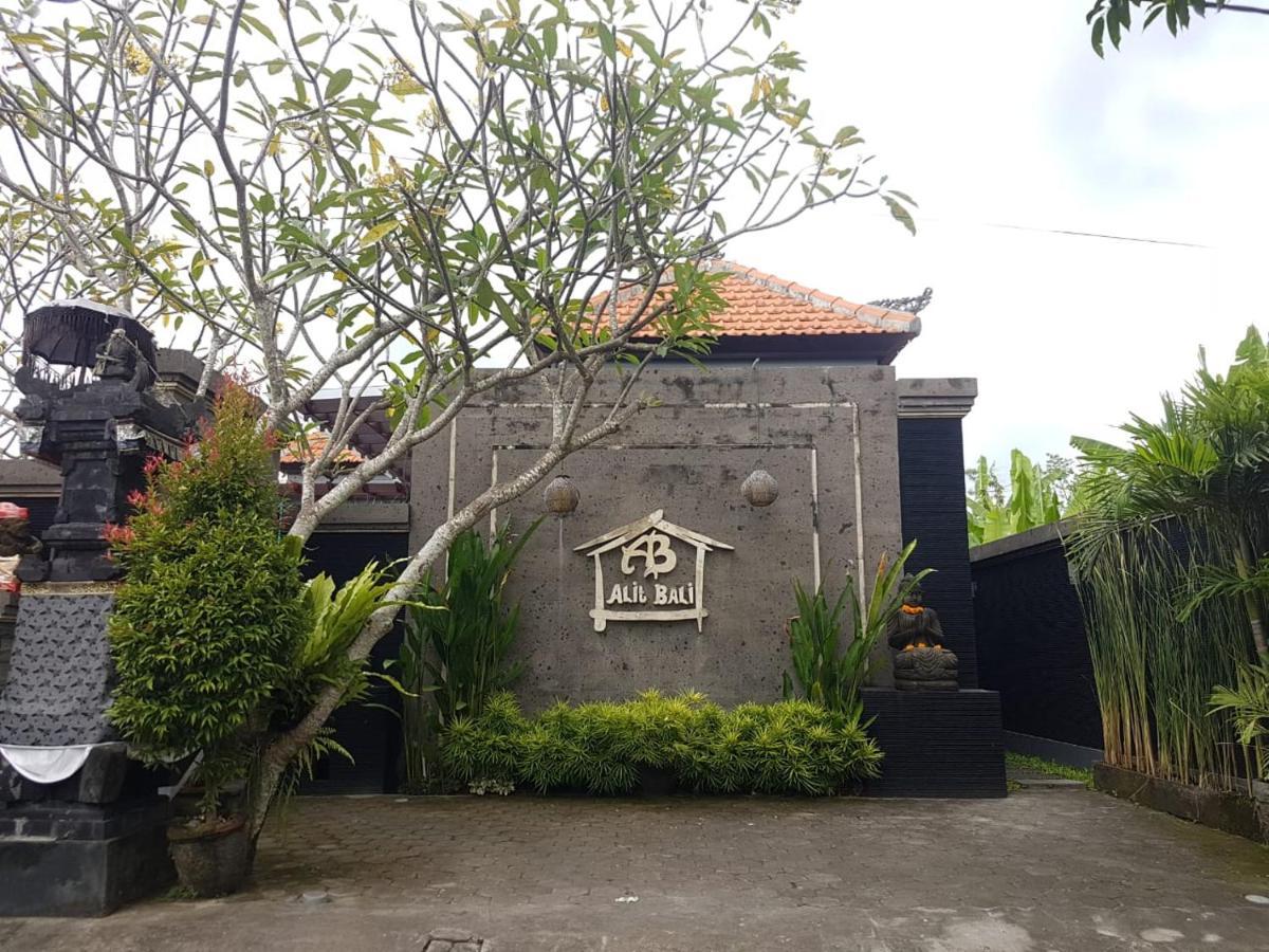 艾力特巴厘岛别墅 坎古 外观 照片